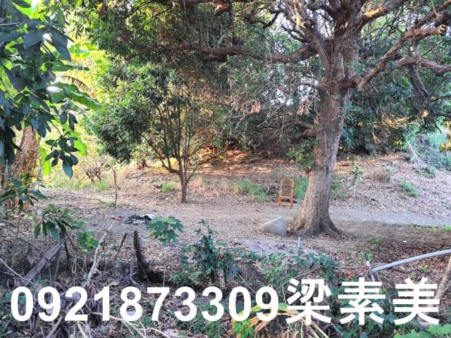 佳里建地-0