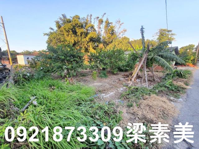 佳里建地-6