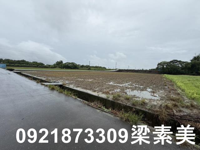 善化農地-0