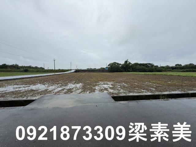 善化農地-1