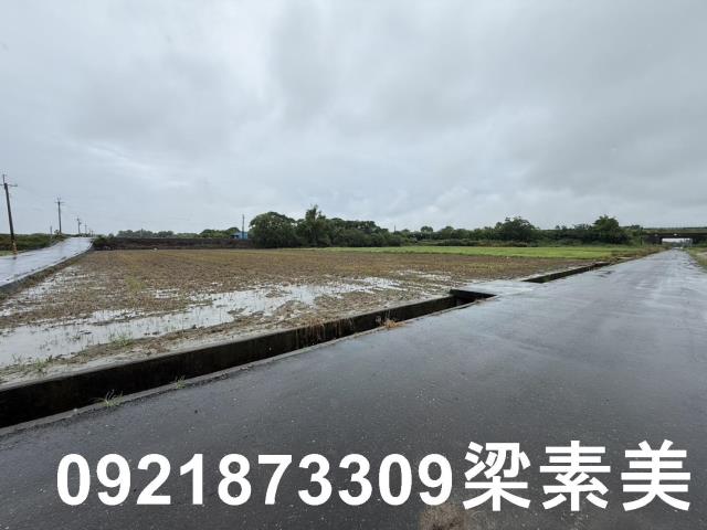 善化農地-2