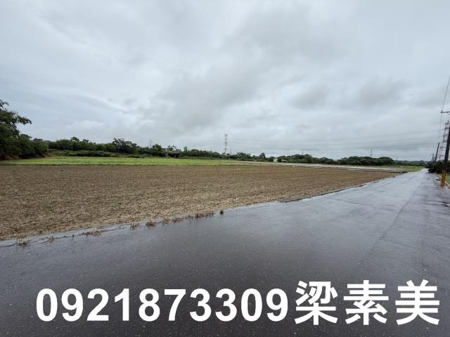 善化農地-4