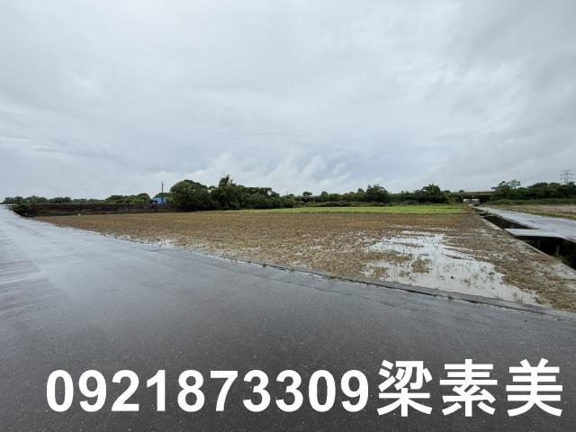 善化農地-5