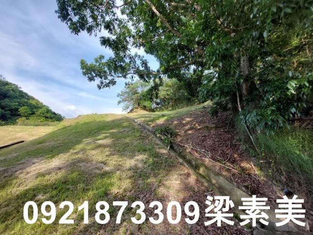 大內農地-10