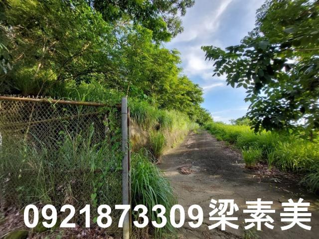 大內農地-11