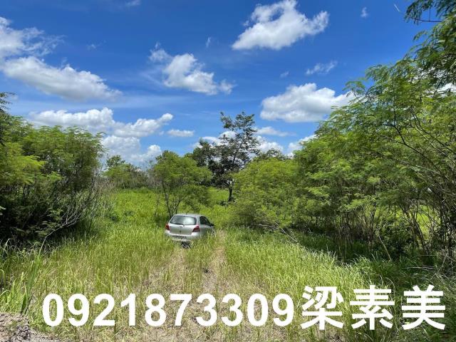 大內農地-2
