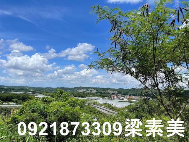 大內農地-3