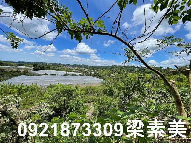 大內農地-5
