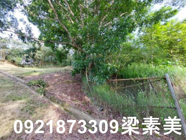 大內農地-8