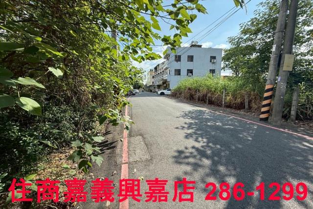 民雄農地-2