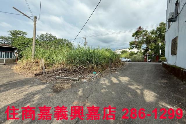 民雄農地-4