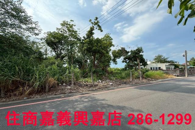 民雄農地-5
