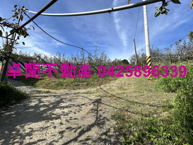 卓蘭農地-10
