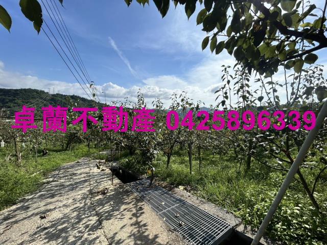 卓蘭農地-11