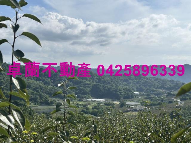 卓蘭農地-12