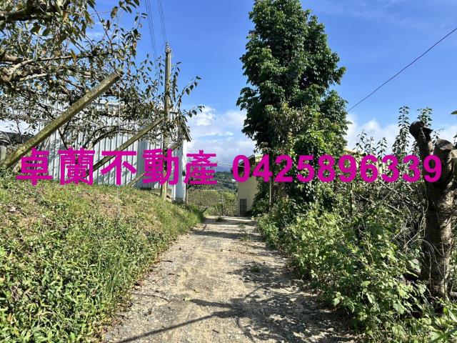 卓蘭農地-3