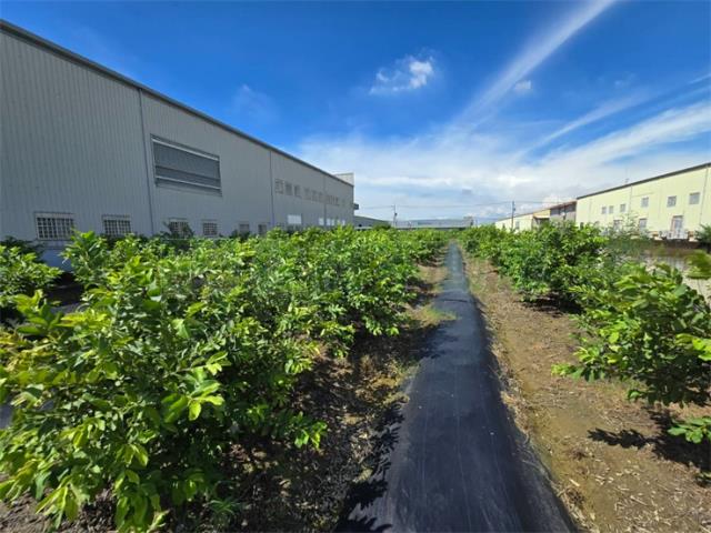 岡山農地-2