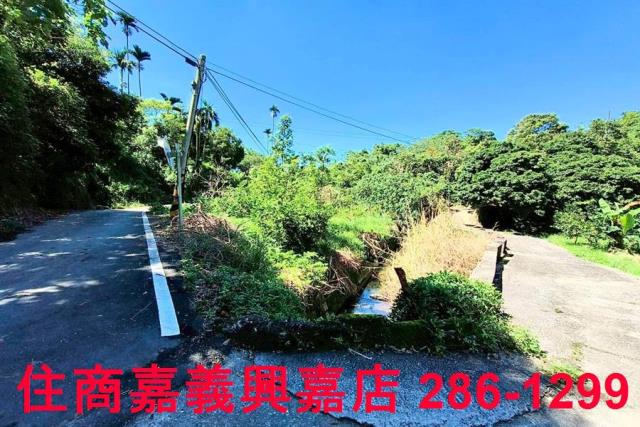 竹崎農地-10