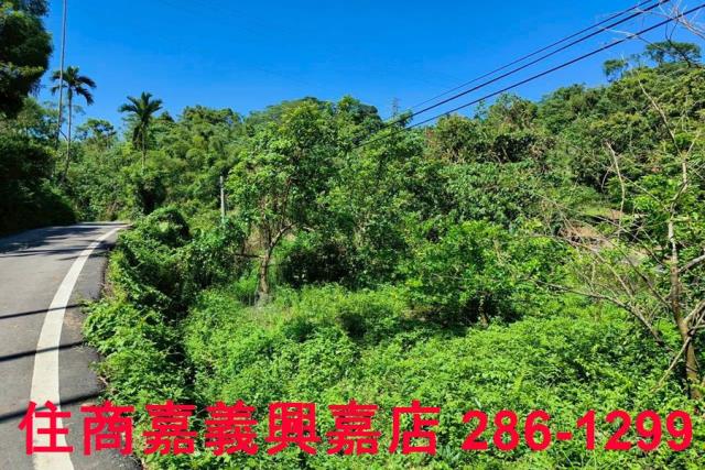 竹崎農地-2