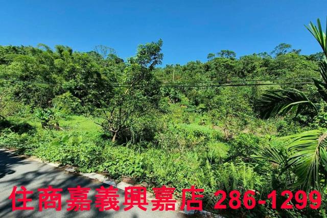 竹崎農地-3