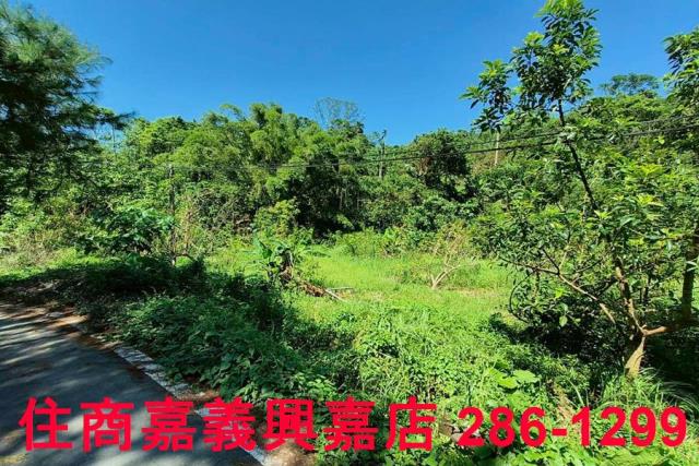 竹崎農地-5