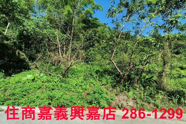 竹崎農地-7