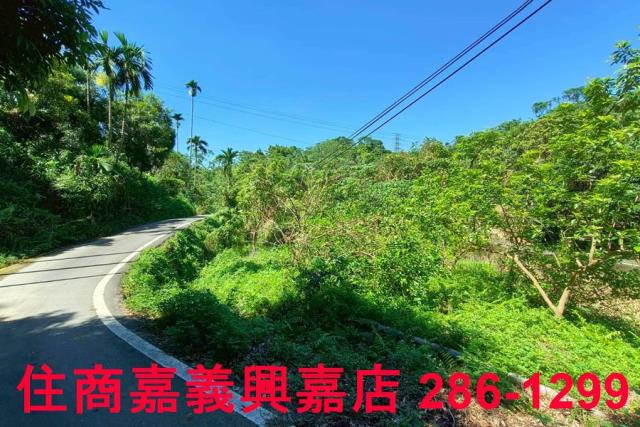 竹崎農地-8