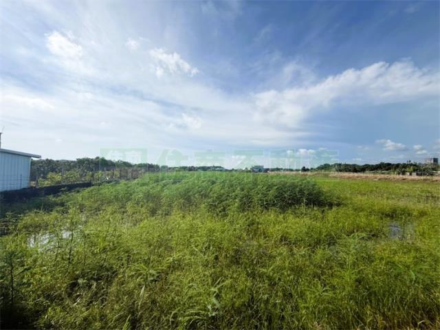 橋頭農地-2