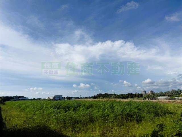 橋頭農地-4