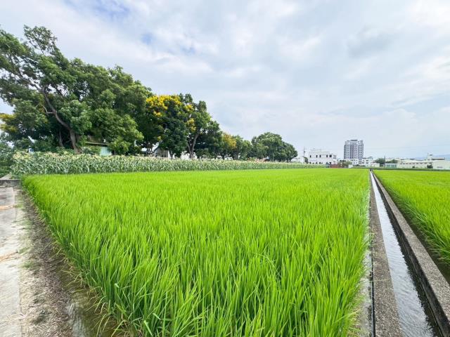草屯農地-2