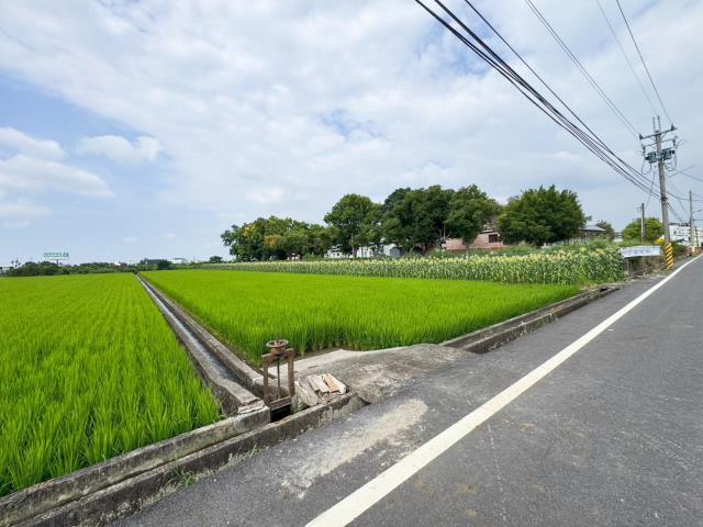 草屯農地-3