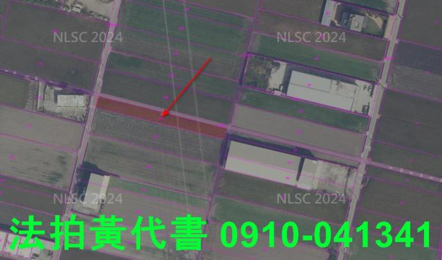 龍井拍賣農地-5