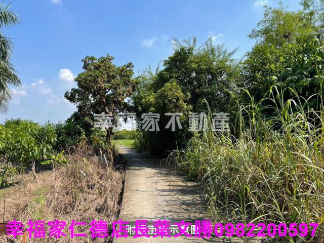 台南農地-13
