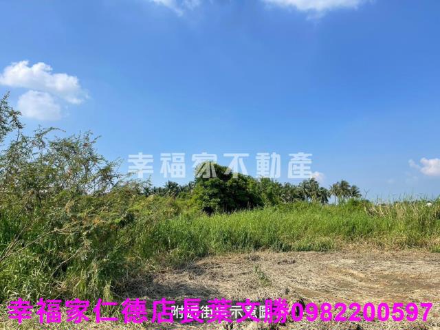 台南農地-14