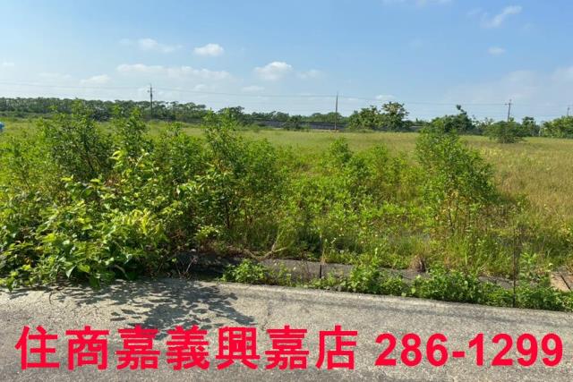嘉義農地-3
