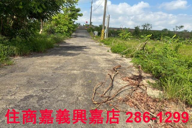 嘉義農地-4