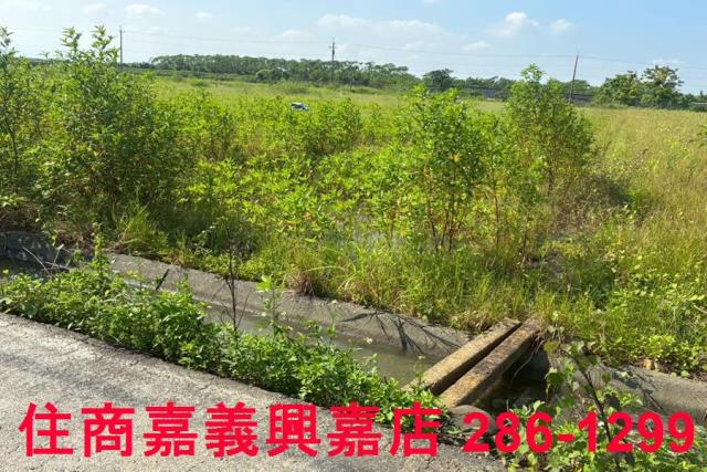 嘉義農地-5