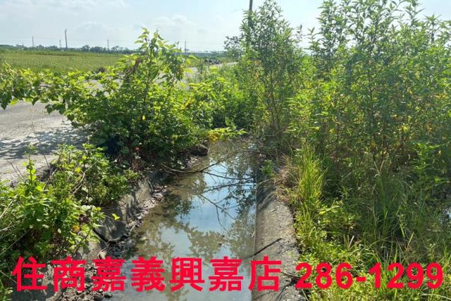 嘉義農地-6