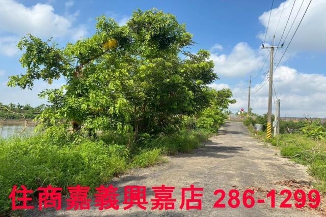 嘉義農地-9
