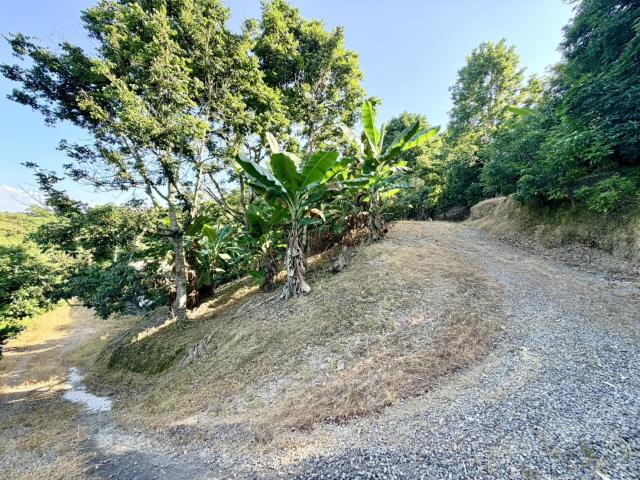南投農地-3