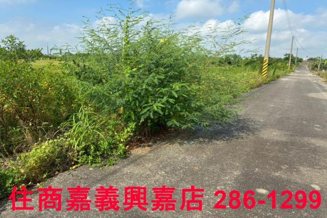 嘉義鹿草農地-9