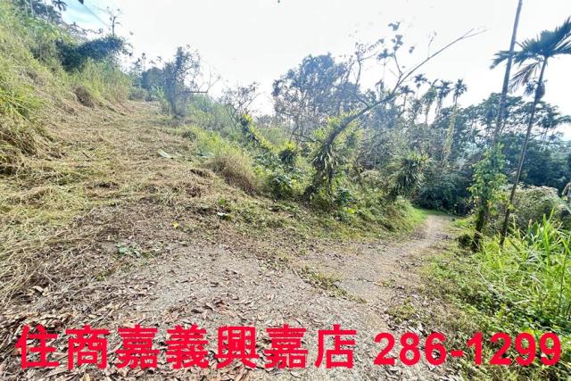嘉義番路農地-4