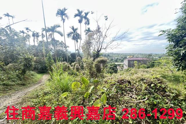嘉義番路農地-6