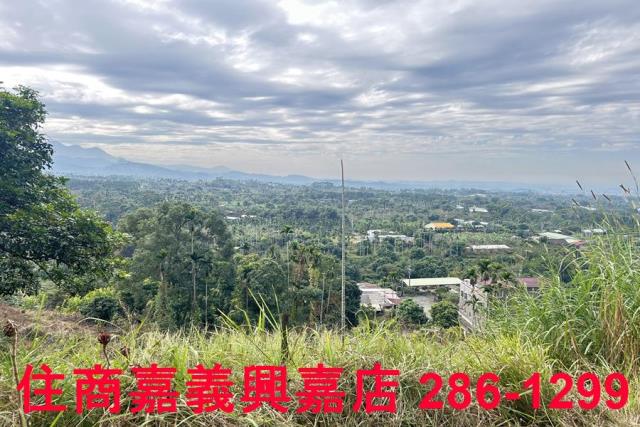 嘉義番路農地-8