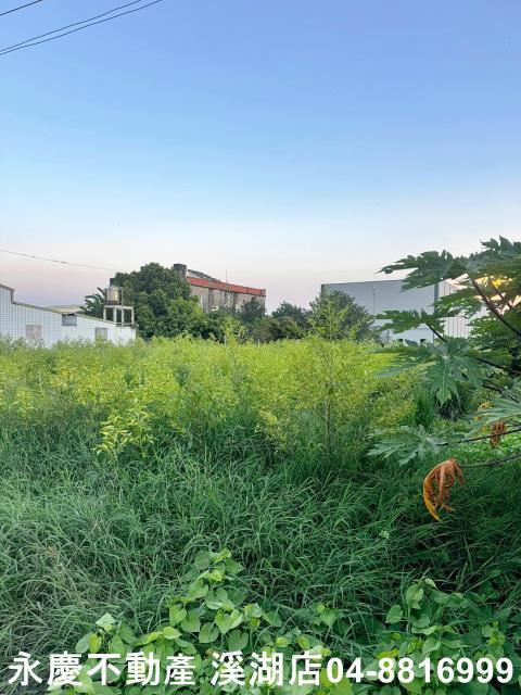 彰化埔鹽農地-3