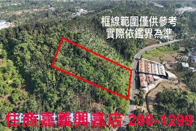 嘉義中埔農地-1