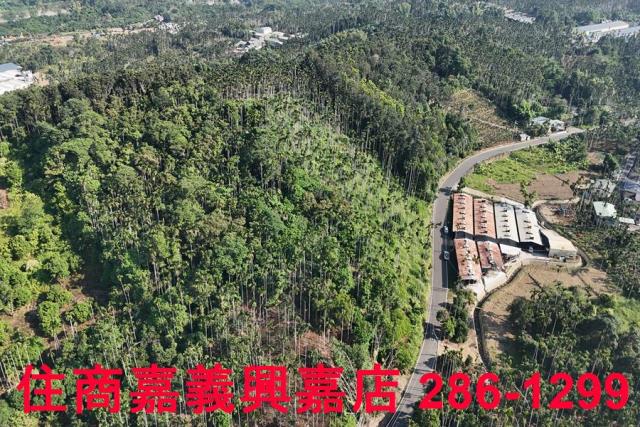 嘉義中埔農地-2