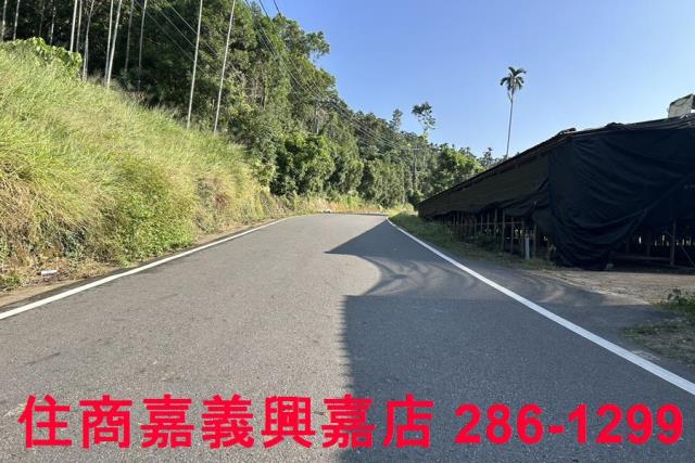 嘉義中埔農地-3