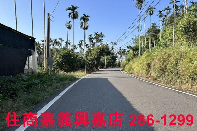 嘉義中埔農地-4