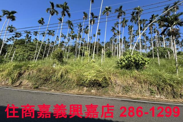 嘉義中埔農地-5